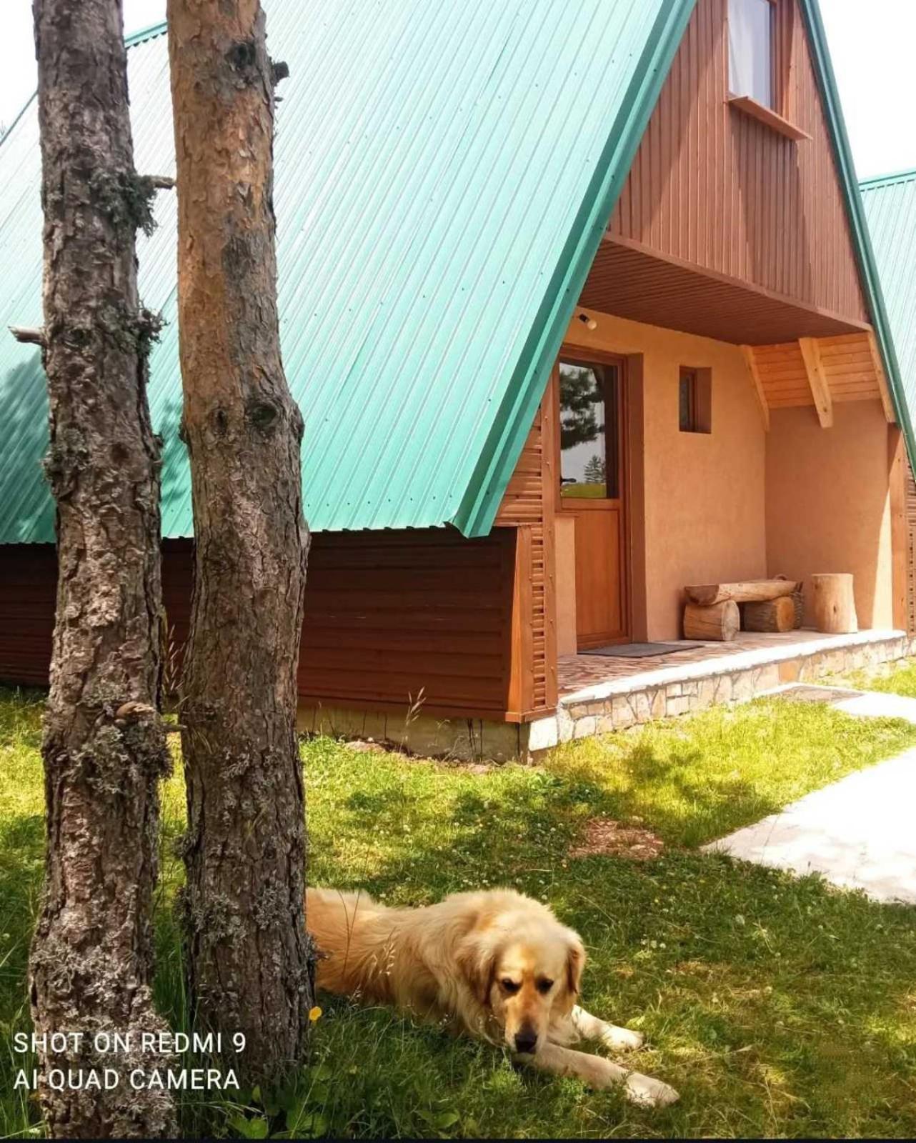 Vikendice Smolovic Villa Žabljak Buitenkant foto